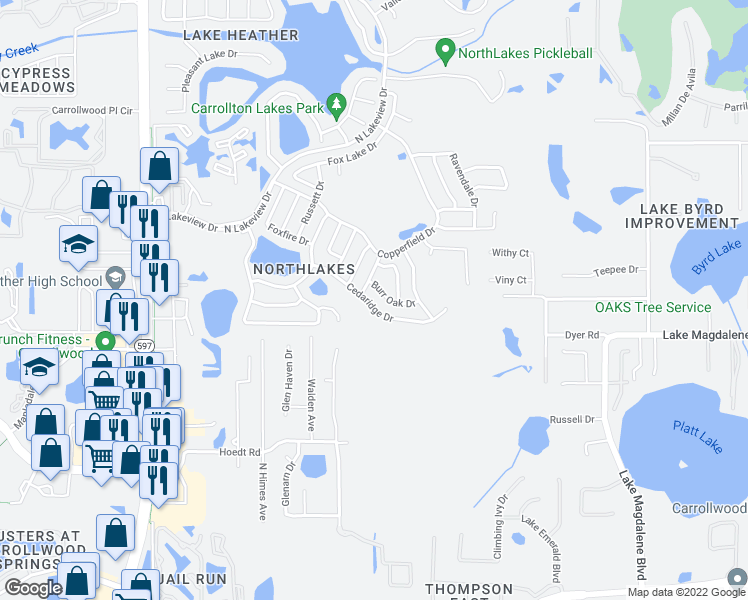 map of restaurants, bars, coffee shops, grocery stores, and more near 2909 Cedaridge Drive in Tampa