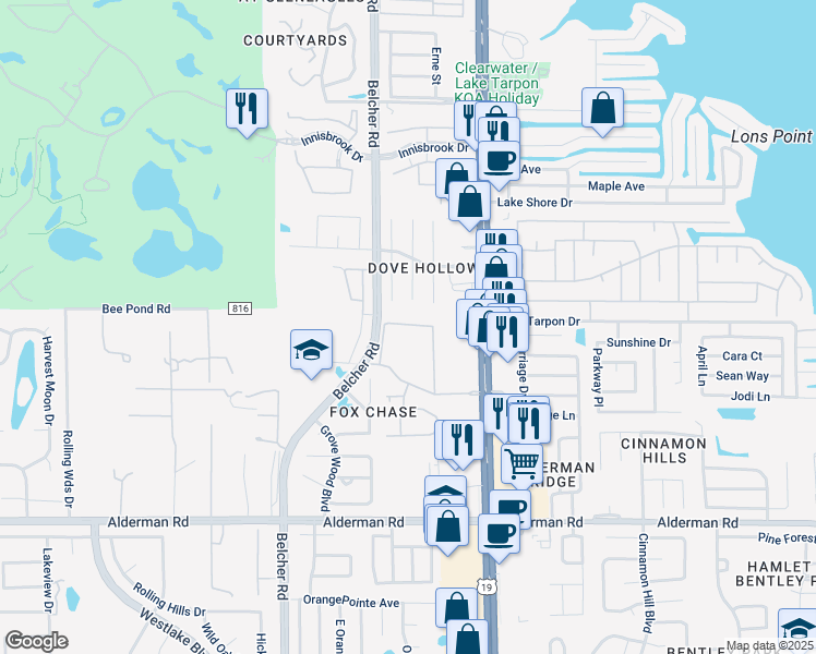 map of restaurants, bars, coffee shops, grocery stores, and more near 3295 Fox Chase Cir N in Palm Harbor