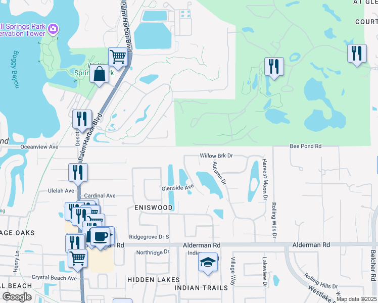 map of restaurants, bars, coffee shops, grocery stores, and more near 1337 Willowbrook Drive in Palm Harbor