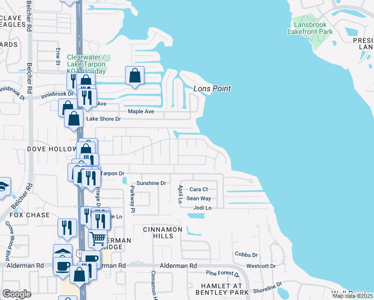map of restaurants, bars, coffee shops, grocery stores, and more near 46 Lexington Court in Palm Harbor