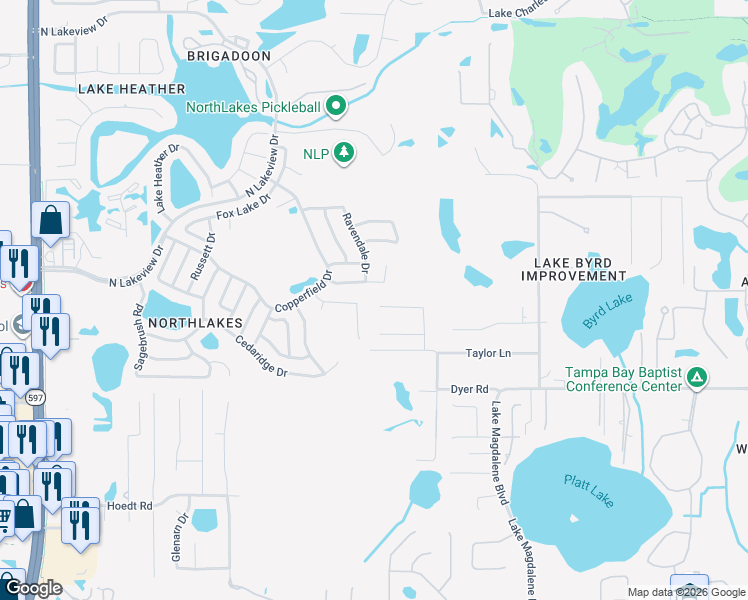 map of restaurants, bars, coffee shops, grocery stores, and more near 2515 Withy Court in Tampa