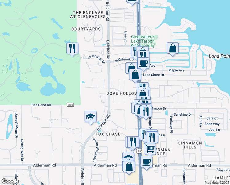 map of restaurants, bars, coffee shops, grocery stores, and more near 3485 Snowy Egret Court in Palm Harbor
