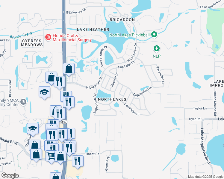 map of restaurants, bars, coffee shops, grocery stores, and more near 3318 Russett Drive in Tampa