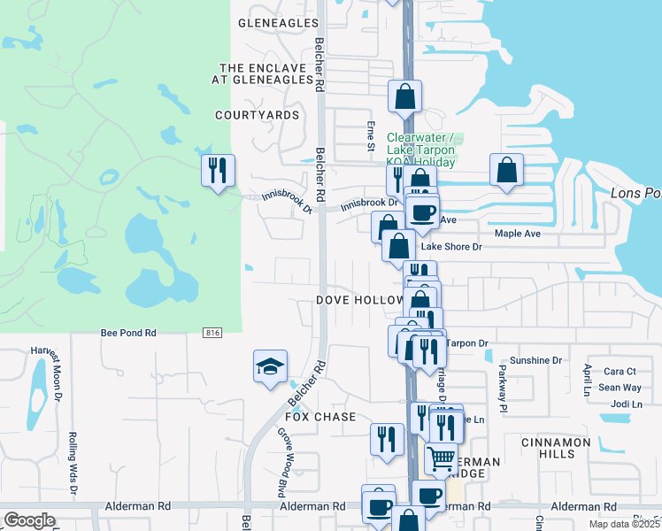 map of restaurants, bars, coffee shops, grocery stores, and more near 3528 Snowy Egret Court in Palm Harbor