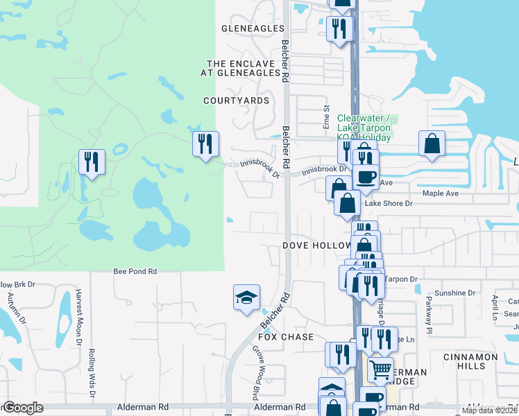 map of restaurants, bars, coffee shops, grocery stores, and more near 2199 Blue Tern Drive in Palm Harbor