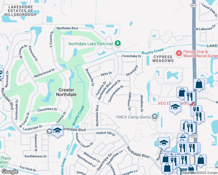 map of restaurants, bars, coffee shops, grocery stores, and more near 4201 Hollow Trail Drive in Tampa