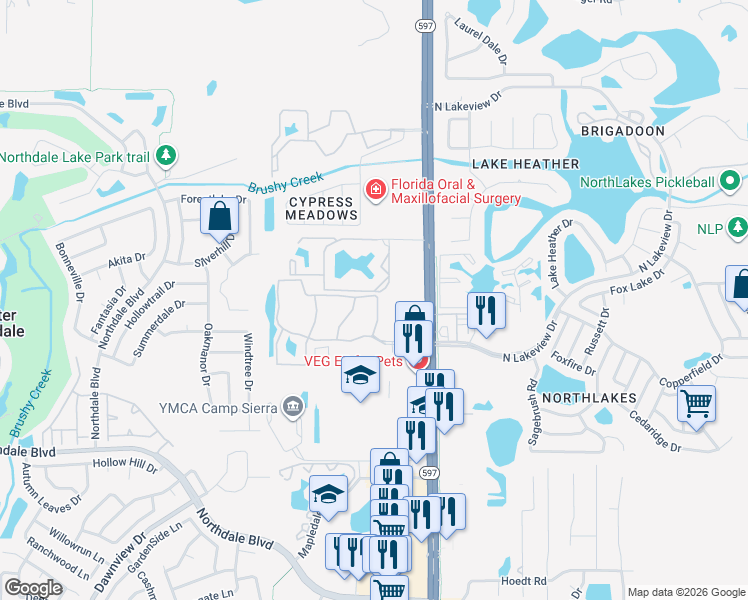 map of restaurants, bars, coffee shops, grocery stores, and more near 3800-3998 Carrollwood Place Circle in Tampa