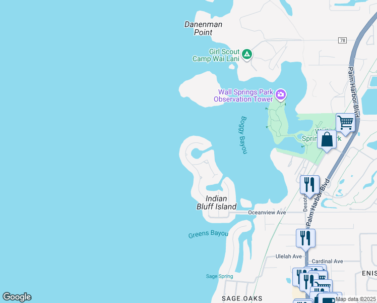 map of restaurants, bars, coffee shops, grocery stores, and more near 113 Carlyle Circle in Palm Harbor