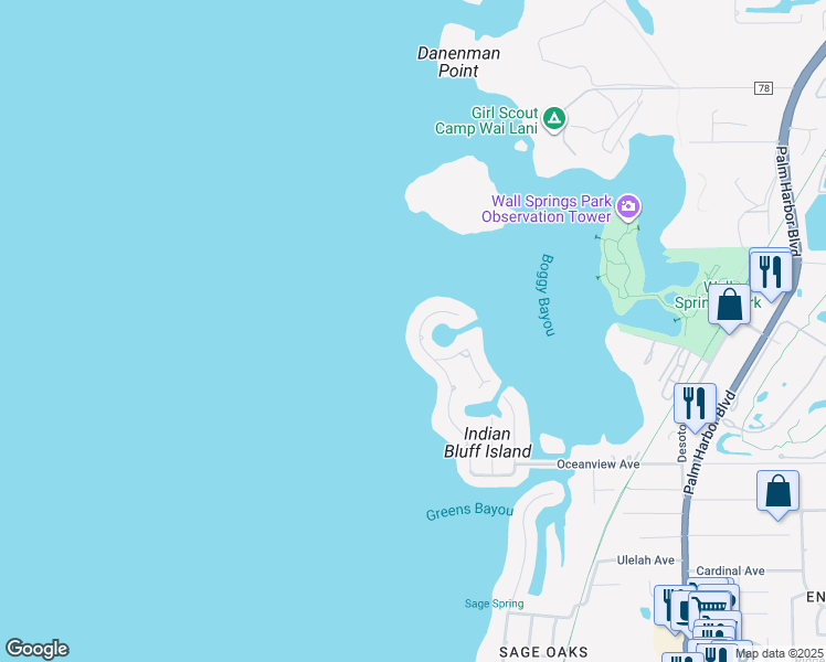 map of restaurants, bars, coffee shops, grocery stores, and more near 113 Carlyle Circle in Palm Harbor