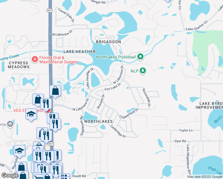 map of restaurants, bars, coffee shops, grocery stores, and more near 16209 Lakehead Ct in Tampa