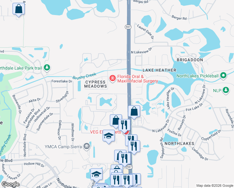 map of restaurants, bars, coffee shops, grocery stores, and more near 3998 Carrollwood Place Circle in Tampa