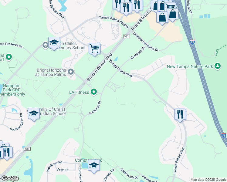 map of restaurants, bars, coffee shops, grocery stores, and more near 16345 Enclave Village Drive in Tampa