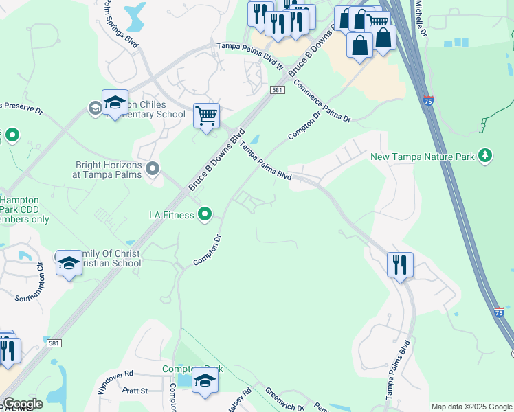 map of restaurants, bars, coffee shops, grocery stores, and more near 16445 Enclave Village Drive in Tampa