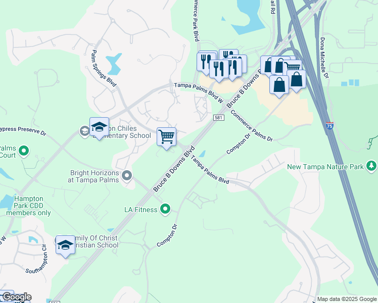 map of restaurants, bars, coffee shops, grocery stores, and more near Bruce B Downs Boulevard & Tampa Palms Boulevard in Tampa