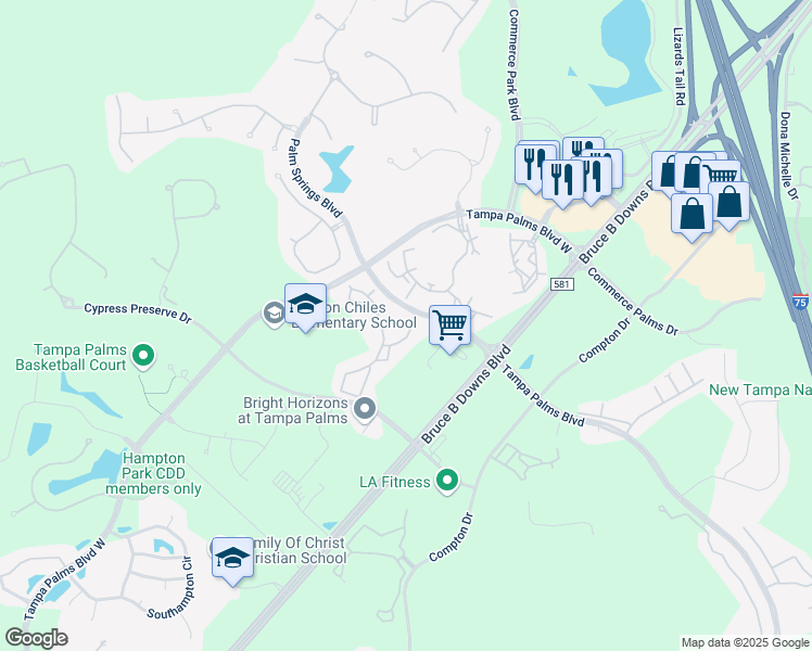 map of restaurants, bars, coffee shops, grocery stores, and more near 5125 Palm Springs Boulevard in Tampa