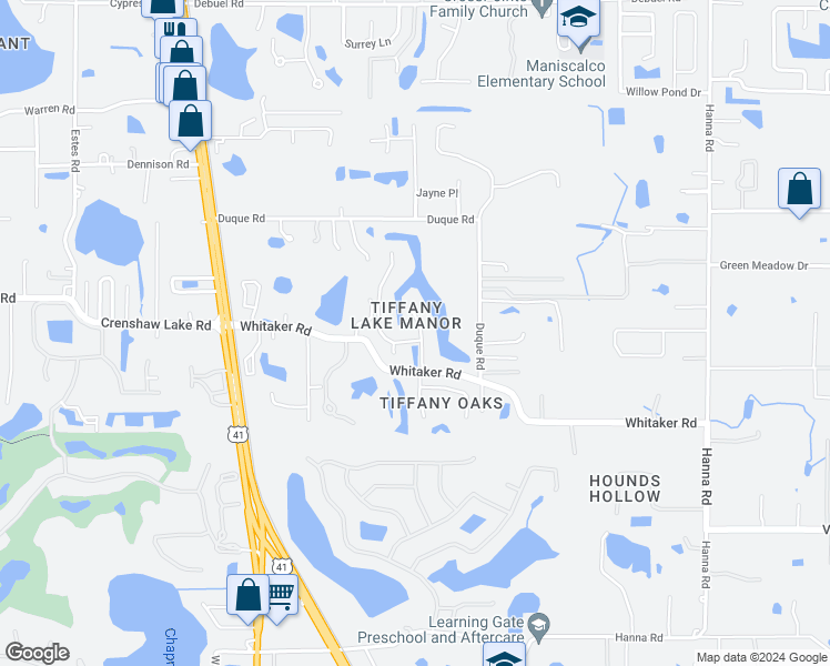 map of restaurants, bars, coffee shops, grocery stores, and more near 17102 Tiffany Lake Place in Lutz