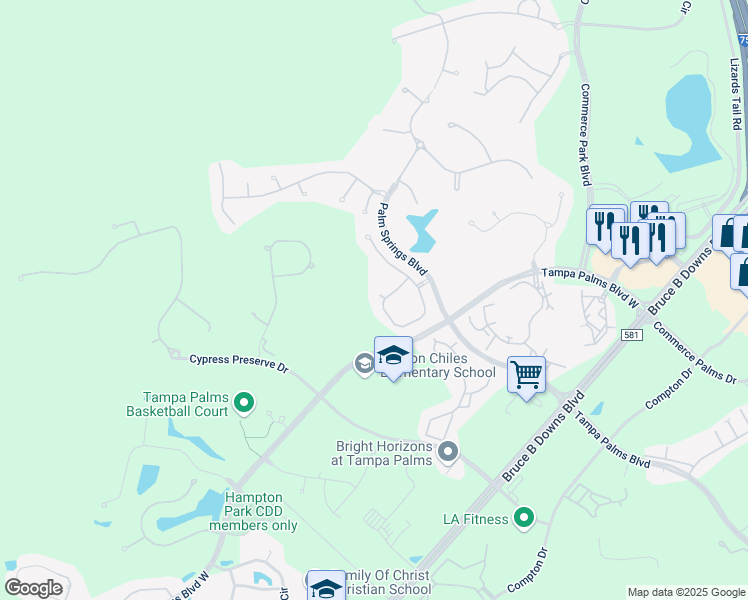 map of restaurants, bars, coffee shops, grocery stores, and more near 16313 Ashington Park Drive in Tampa