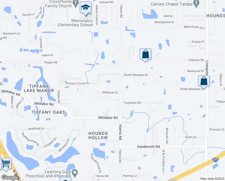 map of restaurants, bars, coffee shops, grocery stores, and more near 1404 Wildrose Drive in Lutz