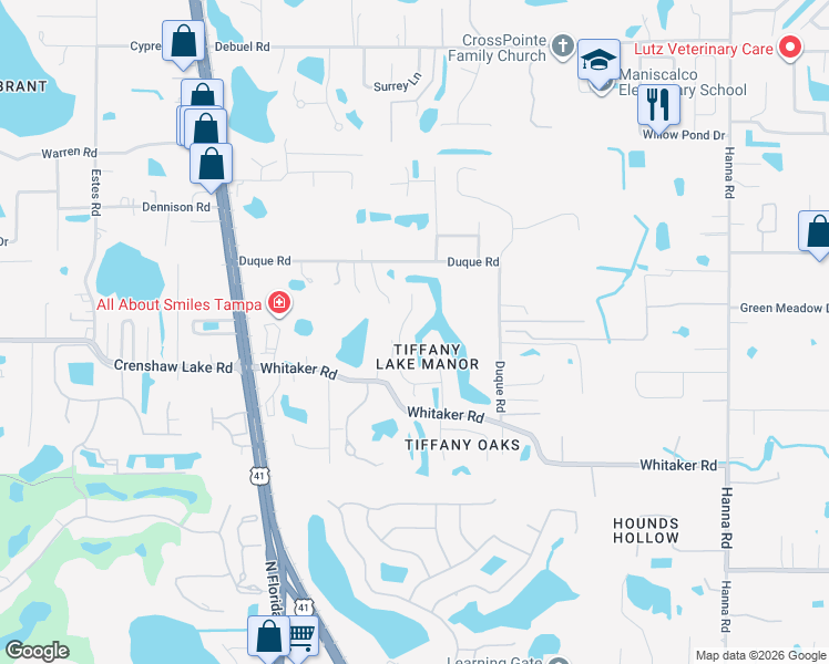 map of restaurants, bars, coffee shops, grocery stores, and more near 17217 Tiffany Shore Drive in Lutz