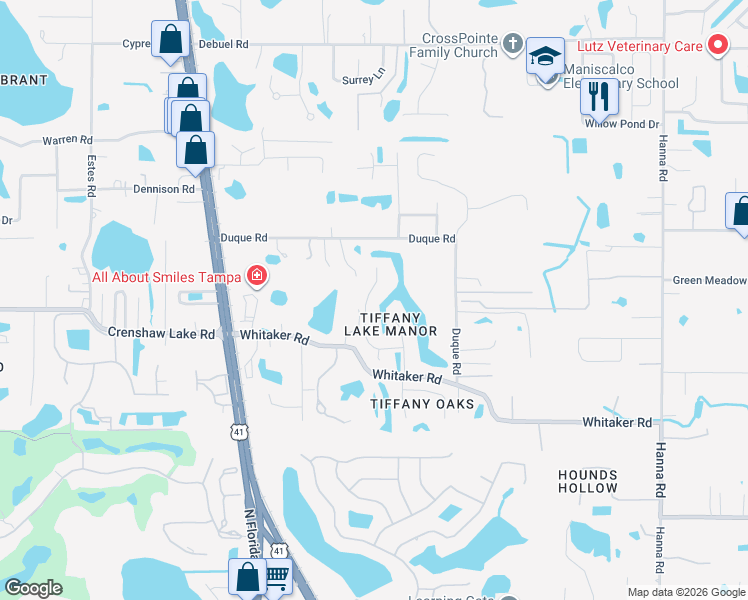 map of restaurants, bars, coffee shops, grocery stores, and more near 17217 Tiffany Shore Drive in Lutz