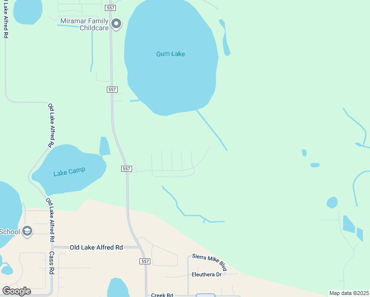 map of restaurants, bars, coffee shops, grocery stores, and more near State Road 557 in Lake Alfred