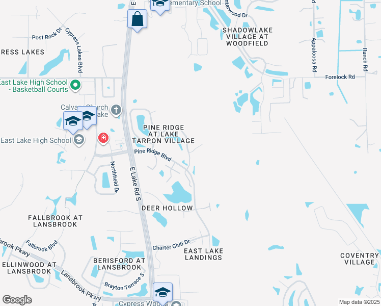 map of restaurants, bars, coffee shops, grocery stores, and more near 1389 Pine Ridge Circle East in Tarpon Springs