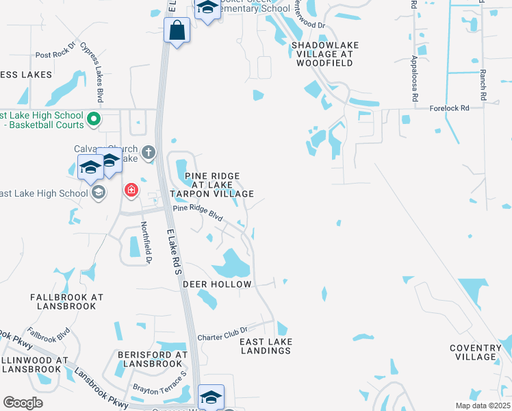 map of restaurants, bars, coffee shops, grocery stores, and more near 13381 Pine Ridge Circle East in Tarpon Springs
