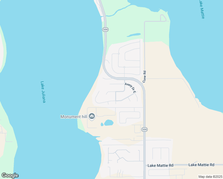 map of restaurants, bars, coffee shops, grocery stores, and more near 207 Kingsley Boulevard in Auburndale