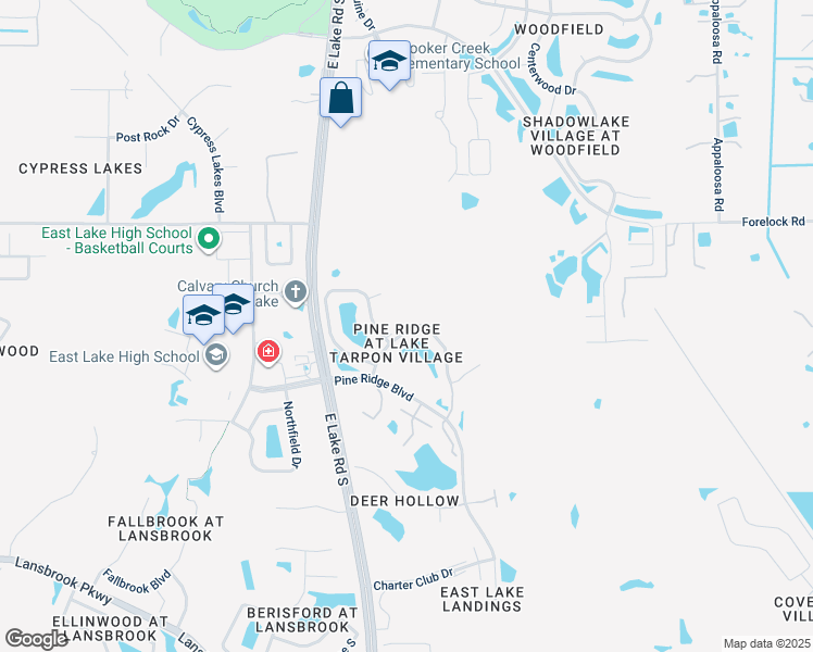 map of restaurants, bars, coffee shops, grocery stores, and more near 1308 Pine Ridge Circle East in Tarpon Springs