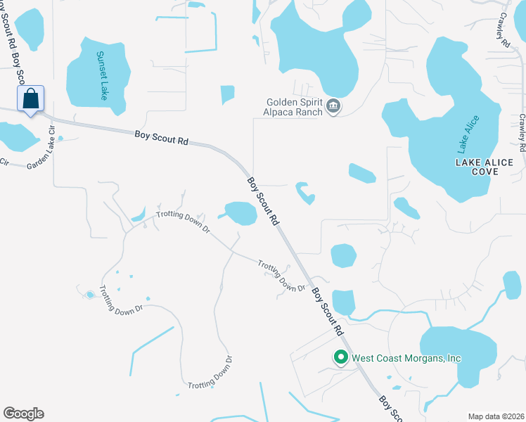 map of restaurants, bars, coffee shops, grocery stores, and more near 17520 Boy Scout Road in Odessa