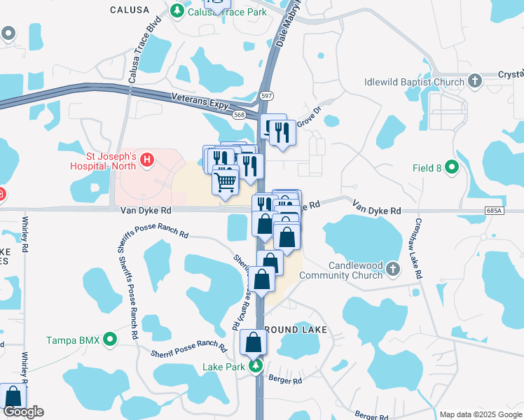 map of restaurants, bars, coffee shops, grocery stores, and more near Dale Mabry Hwy & Van Dyke Rd in Lutz