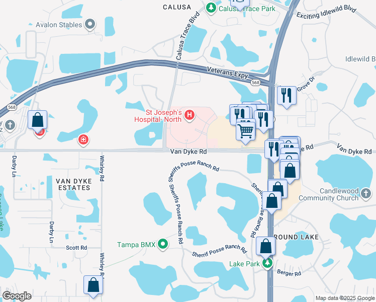 map of restaurants, bars, coffee shops, grocery stores, and more near 4211 Van Dyke Road in Lutz