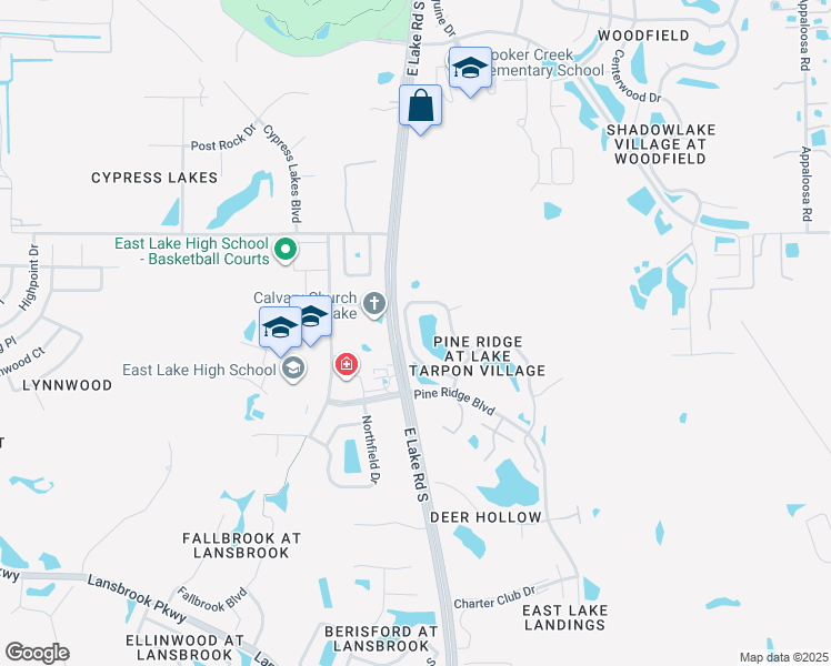 map of restaurants, bars, coffee shops, grocery stores, and more near 1143 Pine Ridge Circle West in Tarpon Springs
