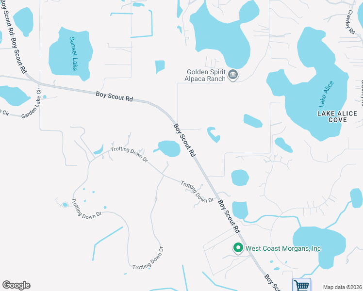 map of restaurants, bars, coffee shops, grocery stores, and more near 17520 Boy Scout Road in Odessa