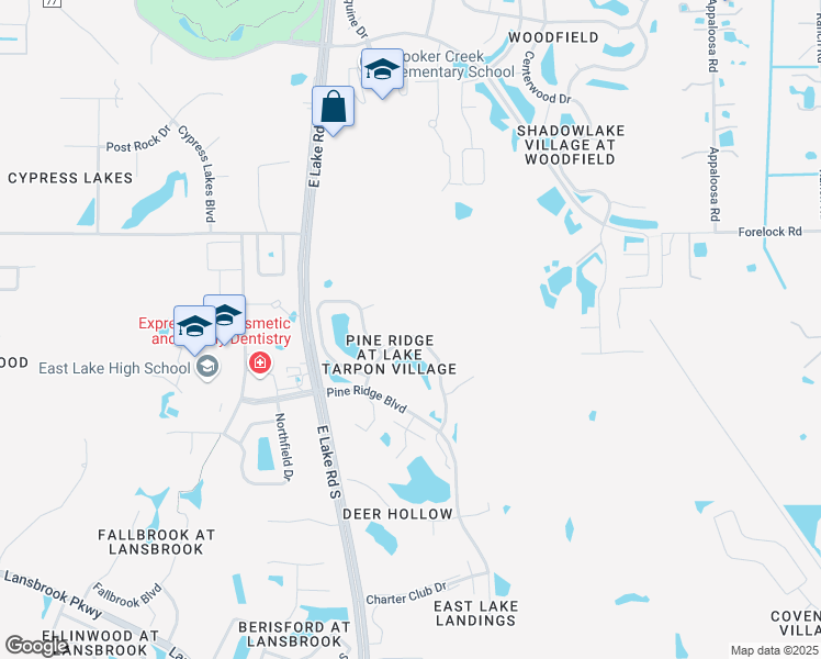 map of restaurants, bars, coffee shops, grocery stores, and more near 1308 Pine Ridge Circle East in Tarpon Springs
