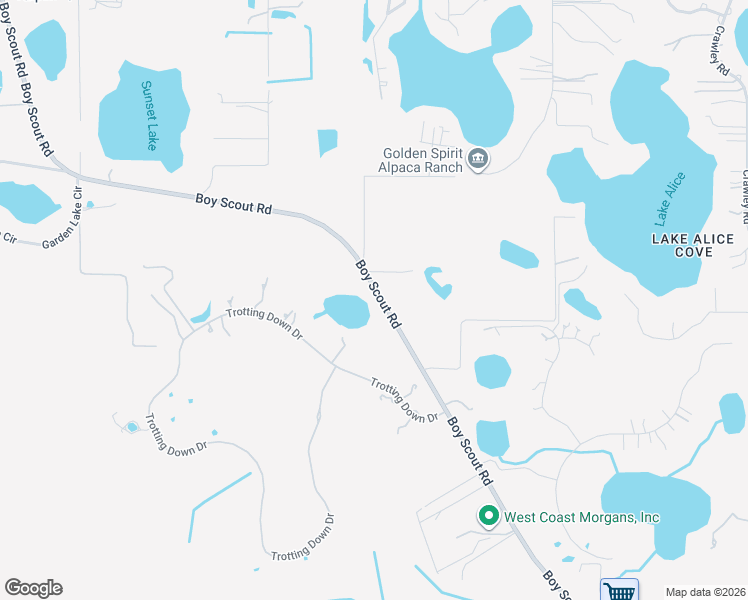 map of restaurants, bars, coffee shops, grocery stores, and more near 17524 Boy Scout Road in Odessa