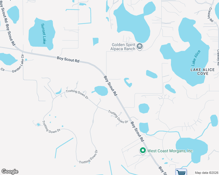 map of restaurants, bars, coffee shops, grocery stores, and more near 17524 Boy Scout Road in Odessa