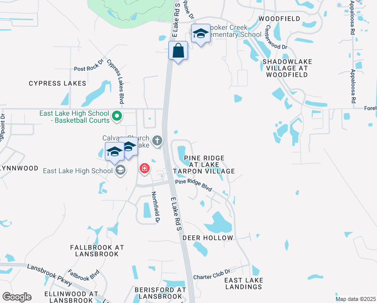 map of restaurants, bars, coffee shops, grocery stores, and more near 1225 Pine Ridge Circle West in Tarpon Springs
