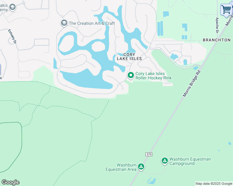 map of restaurants, bars, coffee shops, grocery stores, and more near 10508 Cory Lake Drive in Tampa