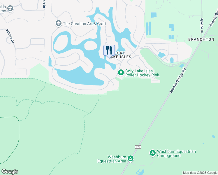 map of restaurants, bars, coffee shops, grocery stores, and more near 10508 Cory Lake Drive in Tampa