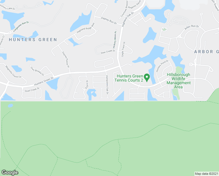 map of restaurants, bars, coffee shops, grocery stores, and more near 17713 Hampshire Oak Drive in Tampa