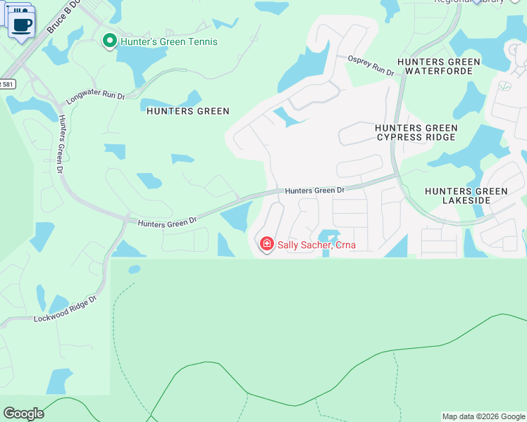 map of restaurants, bars, coffee shops, grocery stores, and more near 17724 Nathans Drive in Tampa