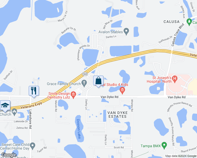 map of restaurants, bars, coffee shops, grocery stores, and more near 17903 Havenview Lane in Lutz