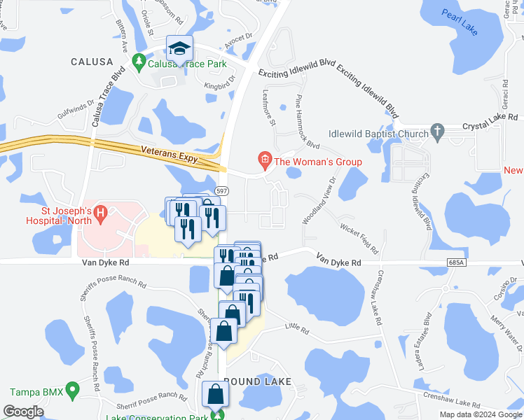 map of restaurants, bars, coffee shops, grocery stores, and more near 18097 Dale Mabry Highway in Lutz
