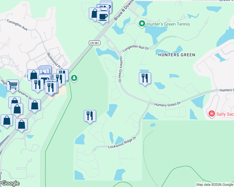map of restaurants, bars, coffee shops, grocery stores, and more near 17844 Green Willow Drive in Tampa
