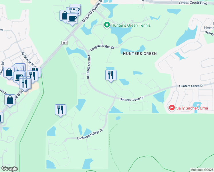 map of restaurants, bars, coffee shops, grocery stores, and more near 8910 Magnolia Chase Circle in Tampa