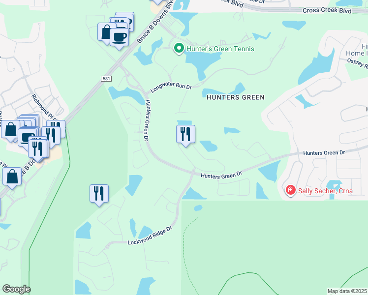map of restaurants, bars, coffee shops, grocery stores, and more near 8910 Magnolia Chase Circle in Tampa