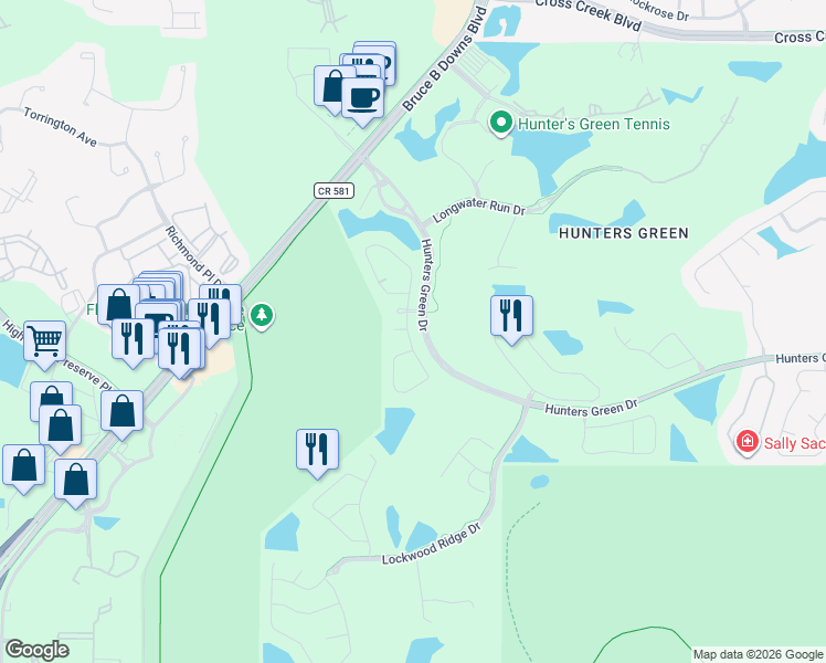 map of restaurants, bars, coffee shops, grocery stores, and more near 17857 Green Willow Drive in Tampa