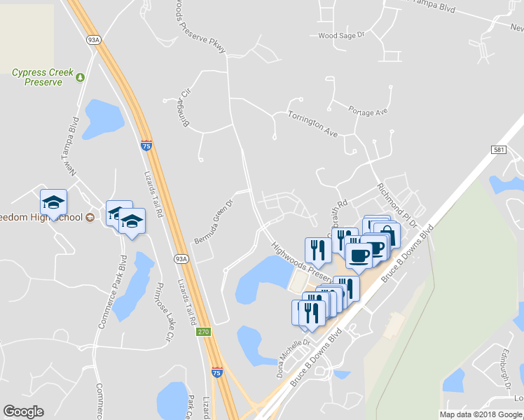 map of restaurants, bars, coffee shops, grocery stores, and more near 18575 Bridle Club Drive in Tampa