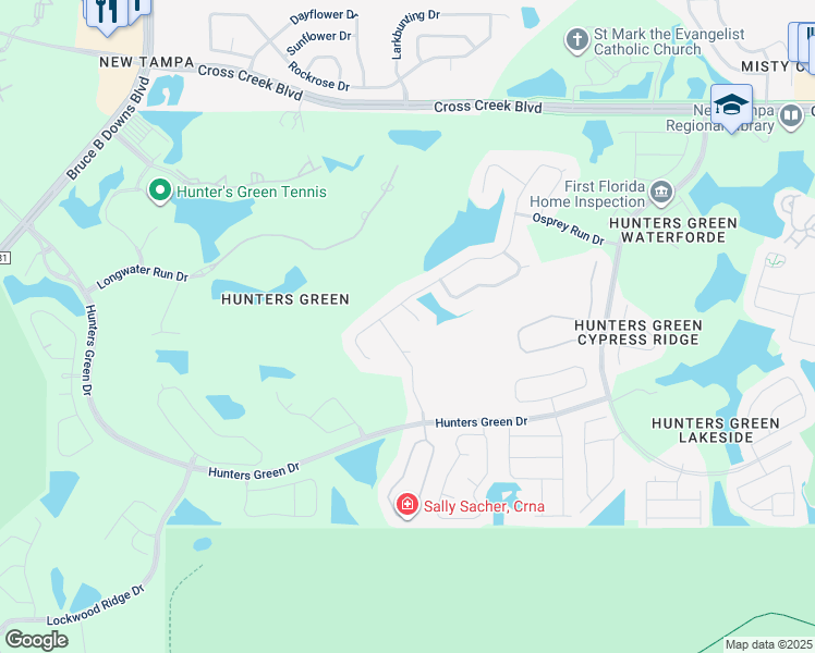 map of restaurants, bars, coffee shops, grocery stores, and more near 17819 Osprey Pointe Place in Tampa